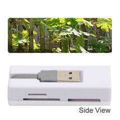 Bitter Melon Memory Card Reader (stick) by artworkshop