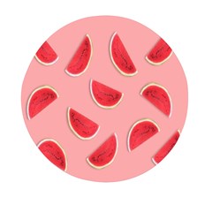 Water Melon Red Mini Round Pill Box (pack Of 5) by nate14shop