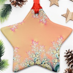 Peach Spring Frost On Flowers Fractal Star Ornament (two Sides) by Artist4God