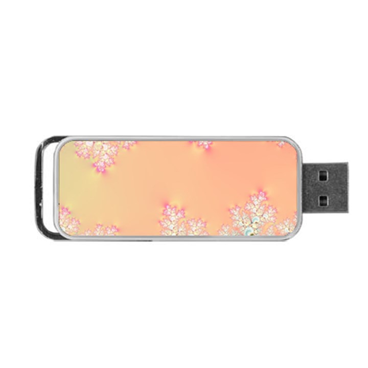 Peach Spring Frost On Flowers Fractal Portable USB Flash (Two Sides)