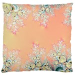 Peach Spring Frost On Flowers Fractal Large Flano Cushion Case (Two Sides) Back