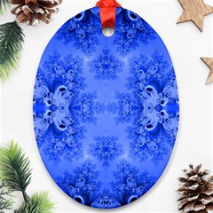 Blue Sky Over The Bluebells Frost Fractal Ornament (oval) by Artist4God