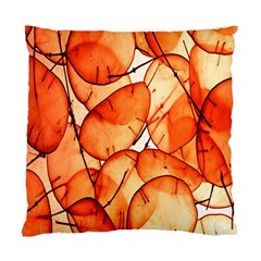 Orange Standard Cushion Case (two Sides) by nate14shop