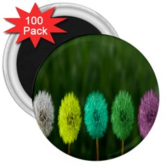 Dandelions 3  Magnets (100 Pack) by nate14shop