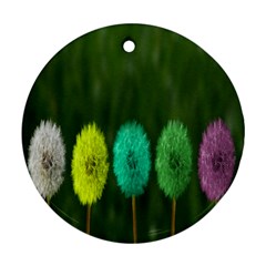 Dandelions Ornament (round) by nate14shop