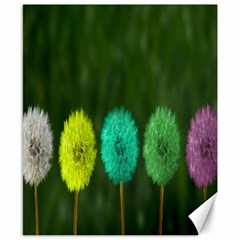 Dandelions Canvas 8  X 10  by nate14shop