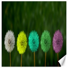 Dandelions Canvas 20  X 20  by nate14shop