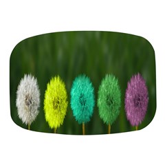 Dandelions Mini Square Pill Box