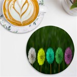 Dandelions UV Print Round Tile Coaster Front