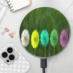 Dandelions Wireless Charger