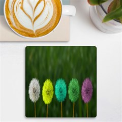 Dandelions Uv Print Square Tile Coaster 