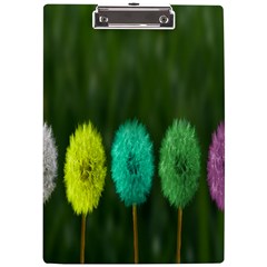 Dandelions A4 Clipboard