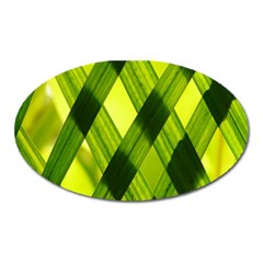 Leaves Grass Woven Oval Magnet by artworkshop