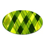 Leaves Grass Woven Oval Magnet Front