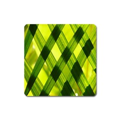 Leaves Grass Woven Square Magnet by artworkshop