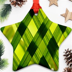 Leaves Grass Woven Ornament (star) by artworkshop