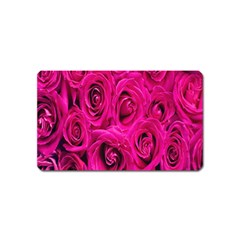 Pink Flowers Roses Magnet (name Card) by artworkshop