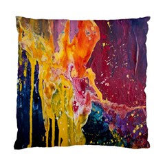 Art-color Standard Cushion Case (two Sides) by nate14shop