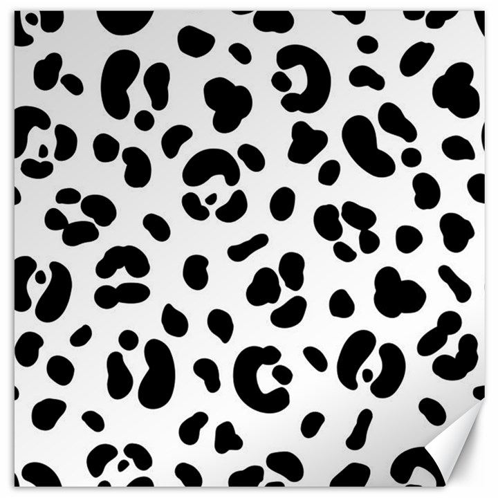 Blak-white-tiger-polkadot Canvas 12  x 12 