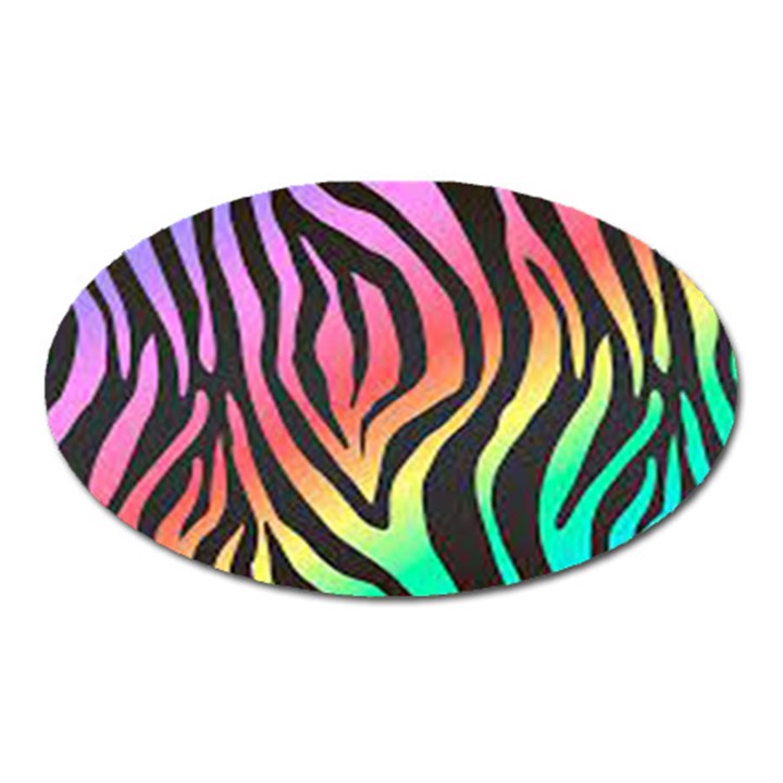 Rainbow Zebra Stripes Oval Magnet