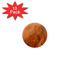 Annual Rings Tree Wood 1  Mini Magnet (10 Pack)  by artworkshop