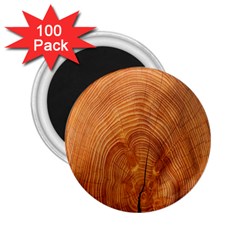 Annual Rings Tree Wood 2 25  Magnets (100 Pack)  by artworkshop