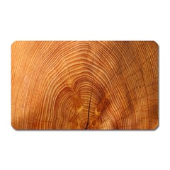 Annual Rings Tree Wood Magnet (rectangular) by artworkshop