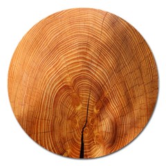 Annual Rings Tree Wood Magnet 5  (round)