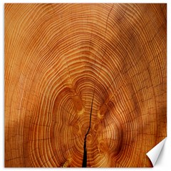 Annual Rings Tree Wood Canvas 16  X 16  by artworkshop