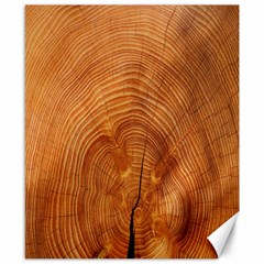 Annual Rings Tree Wood Canvas 8  X 10  by artworkshop