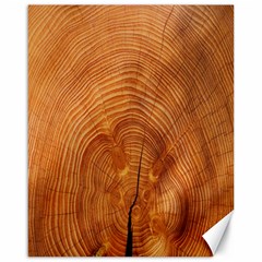 Annual Rings Tree Wood Canvas 16  X 20  by artworkshop