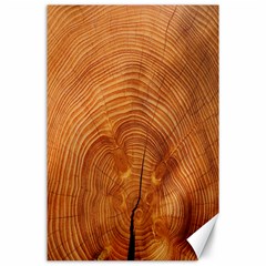 Annual Rings Tree Wood Canvas 24  X 36  by artworkshop