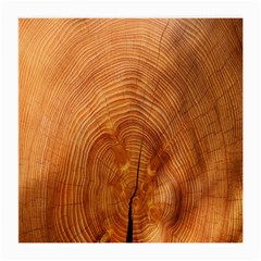 Annual Rings Tree Wood Medium Glasses Cloth (2 Sides) by artworkshop