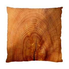 Annual Rings Tree Wood Standard Cushion Case (two Sides) by artworkshop