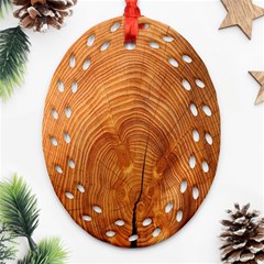 Annual Rings Tree Wood Ornament (oval Filigree) by artworkshop