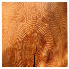 Annual Rings Tree Wood Wooden Puzzle Square by artworkshop