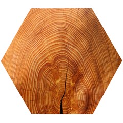 Annual Rings Tree Wood Wooden Puzzle Hexagon by artworkshop