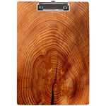 Annual Rings Tree Wood A4 Clipboard Front