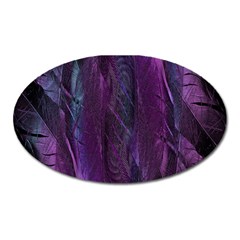 Feather Oval Magnet by artworkshop