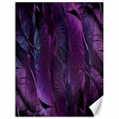 Feather Canvas 18  X 24  by artworkshop