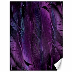 Feather Canvas 36  X 48  by artworkshop