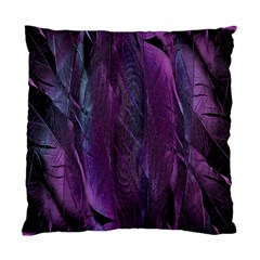 Feather Standard Cushion Case (one Side) by artworkshop