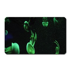 Jellyfish Magnet (rectangular)