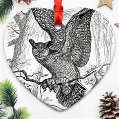 Owl-animals-wild-jungle-nature Ornament (heart)