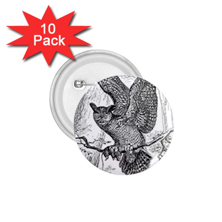 Owl-animals-wild-jungle-nature 1.75  Buttons (10 pack)