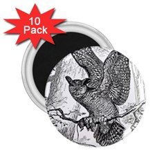 Owl-animals-wild-jungle-nature 2 25  Magnets (10 Pack) 