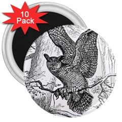 Owl-animals-wild-jungle-nature 3  Magnets (10 Pack) 