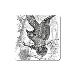 Owl-animals-wild-jungle-nature Square Magnet