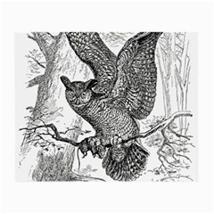 Owl-animals-wild-jungle-nature Small Glasses Cloth