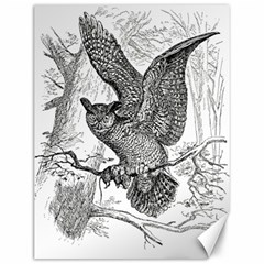 Owl-animals-wild-jungle-nature Canvas 12  X 16  by Jancukart